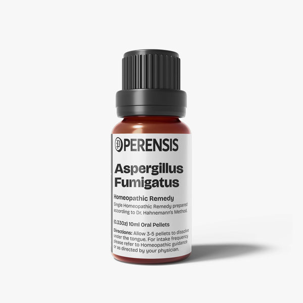 Aspergillus Fumigatus Conid