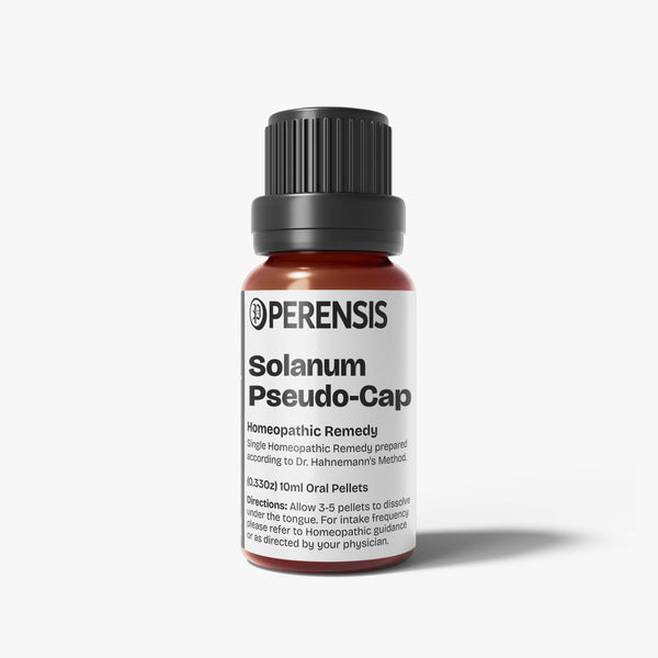 Solanum Pseudo-Capsicum