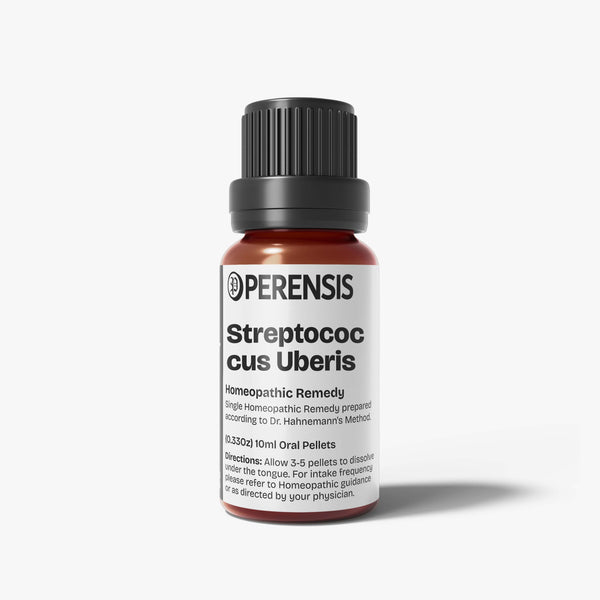 Streptococcus Uberis