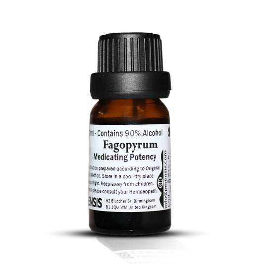 Fagopyrum